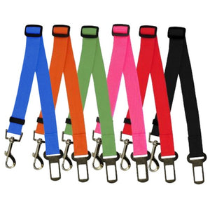 Durable Polyester Dog Leash for Daily Walks & Training