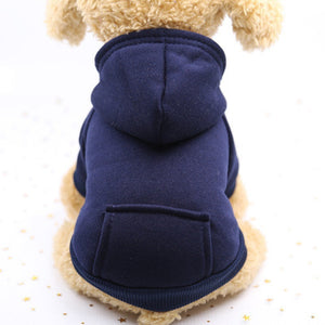 Dog teacup winter costume