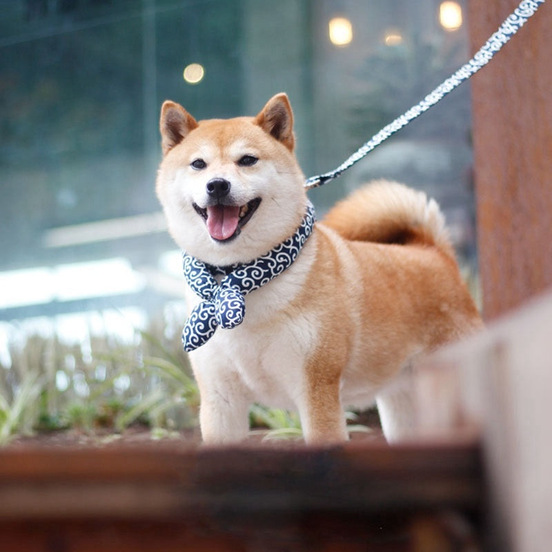 Japanese pet universal collar