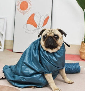 Dog Automatic Drying Bag