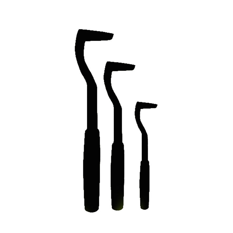 Pet Tick Extractor Hook