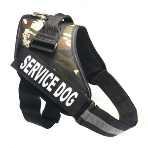 Dog Nylon Chest strap