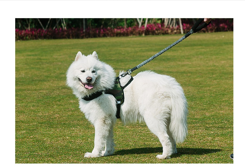 Dog chest strap chain leash