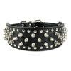 Large Dog rivet Collar