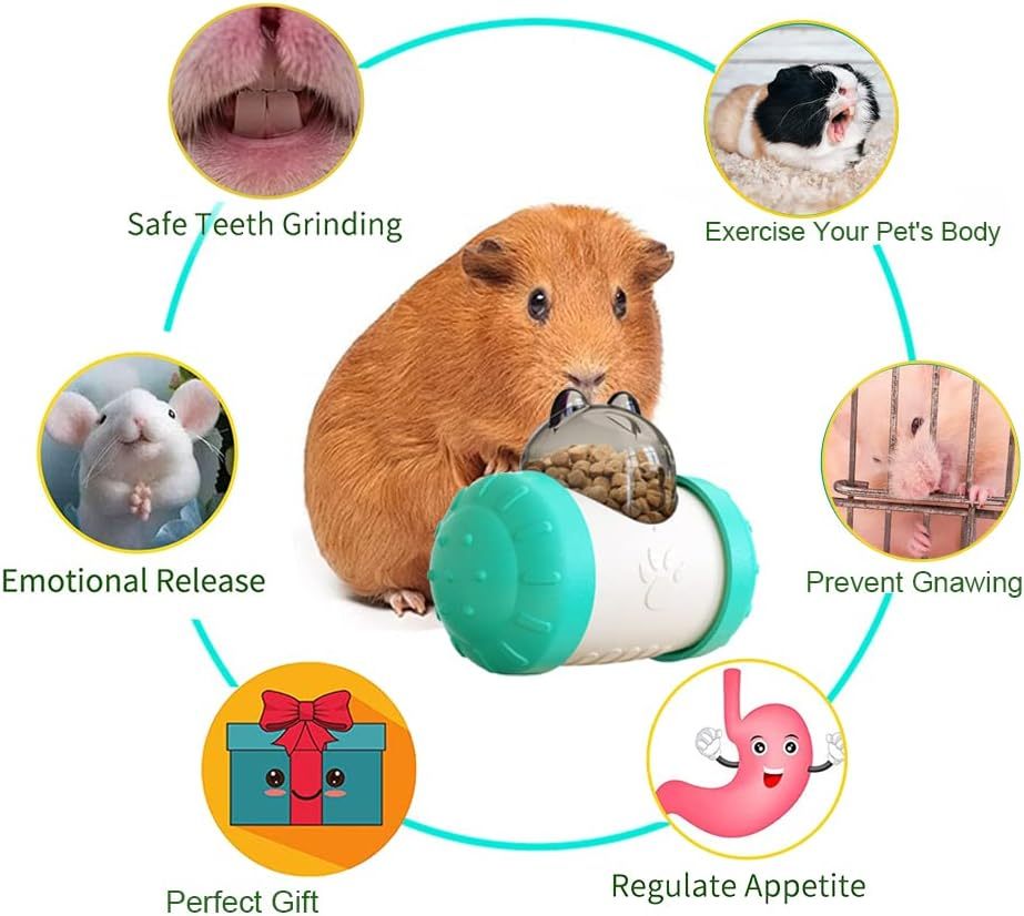 Pet Treat Dispensing Toy