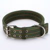 Canvas Dog Collar