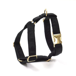 Pet Outing Chest Back Harness