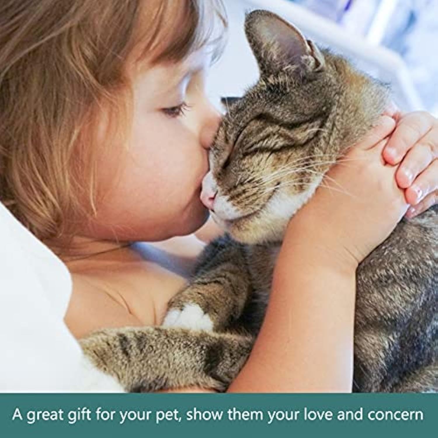 Pet Detachable Water Tray Feeding Bowl