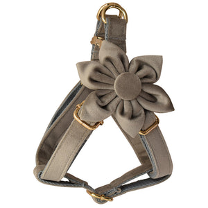 Dog Flannel Gold Buckle Harness