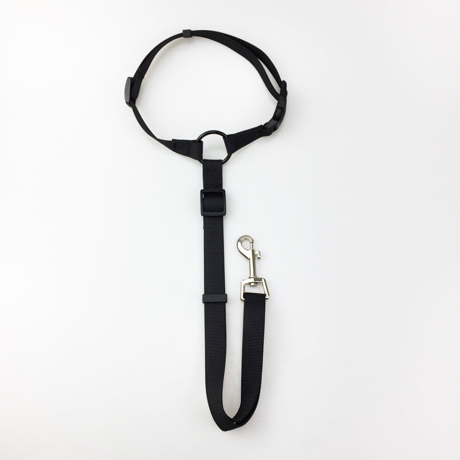 Pet Safety Leash – Durable, Adjustable & Comfortable