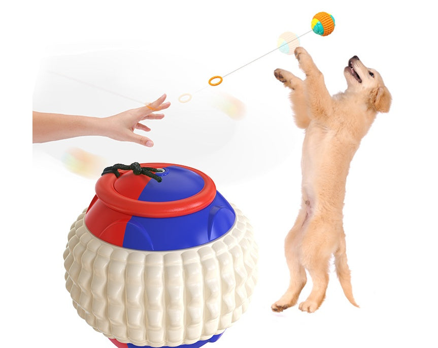 Pet Draw Rope Hand Throwing Ball