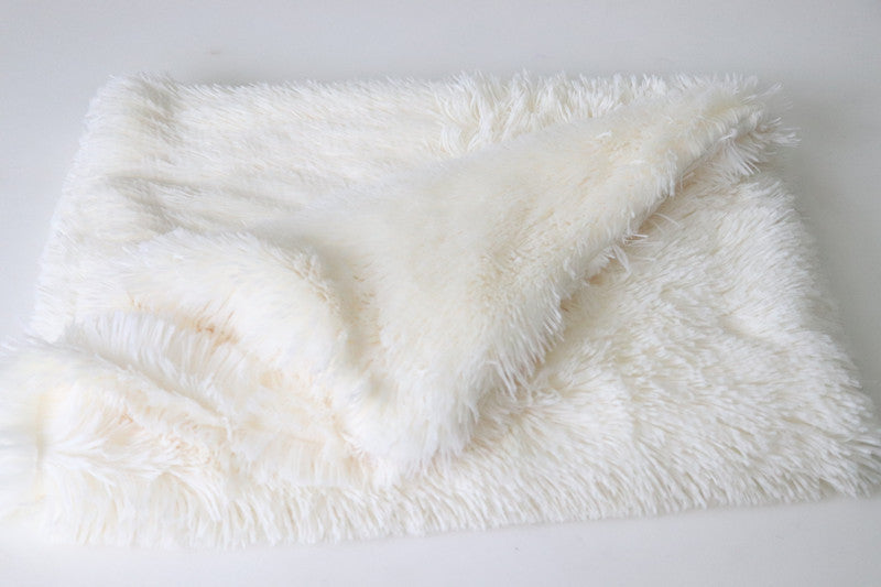 Pet Plush double mat blanket