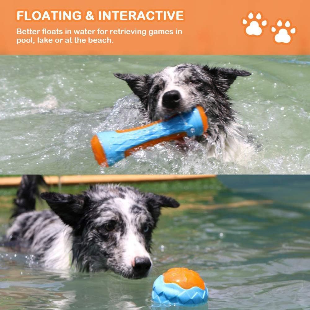 Dog Squeaky Pool Toy