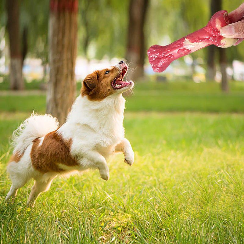 Dog Molar Stick Bone Chew Toy