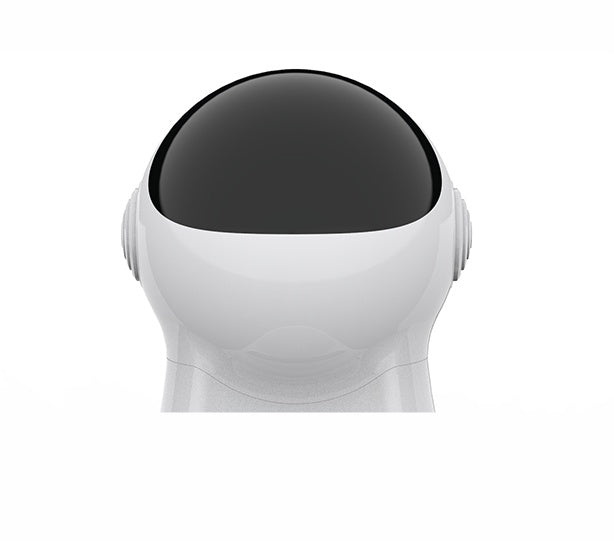 Remote Control Automatic Pet Feeder