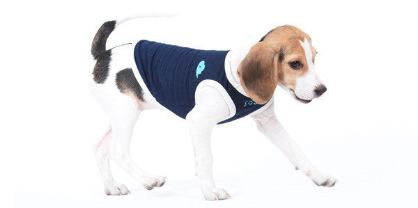 Dog Two-Legged Vest – Lightweight & Comfortable Pet Outfit