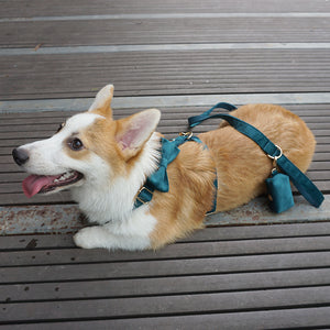 Pet Outing Chest Back Harness