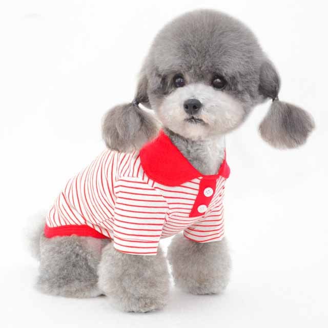 Pet color striped polo shirt