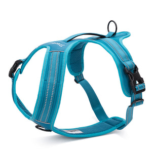 Pet chest strap Harness