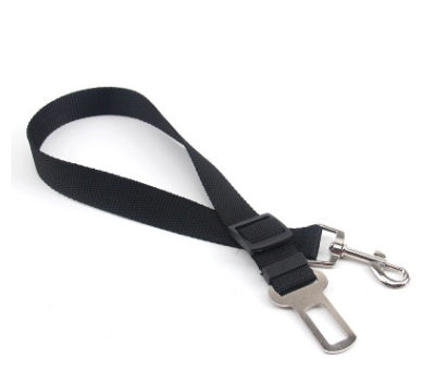 Durable Polyester Dog Leash for Daily Walks & Training