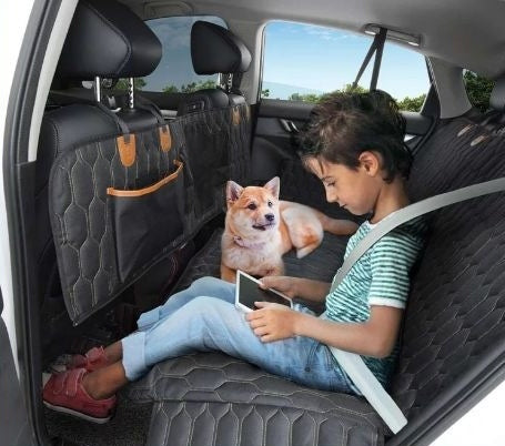 Multifunctional Pet Travel Car Mat