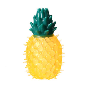 Pet Fruit Sound Chew Toy