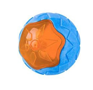 Dog Squeaky Pool Toy