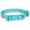 Double D Ring Buckle Dog Collar