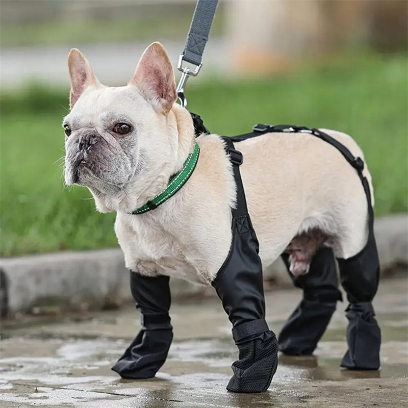 Waterproof Dog Shoes with Soft Soles for Outdoor Walking