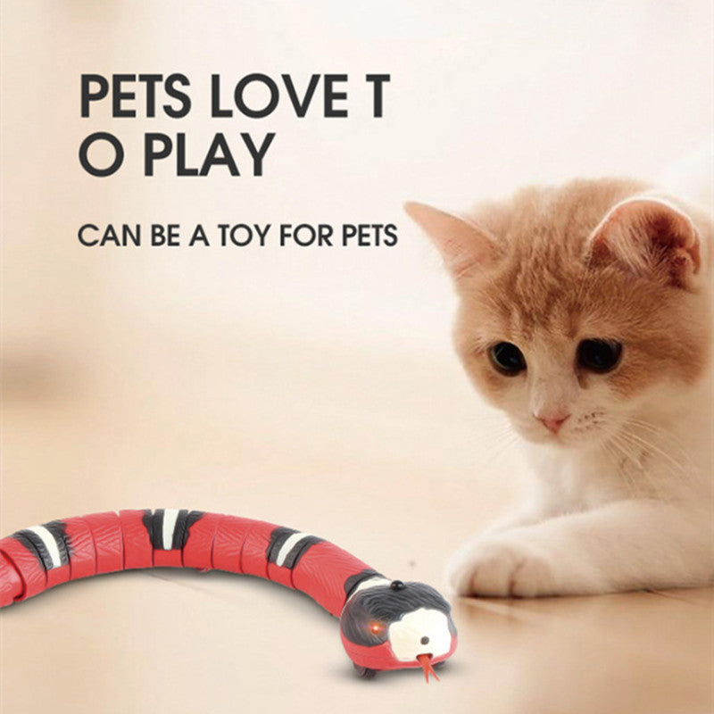 Electric Snake Funny Cat Toy