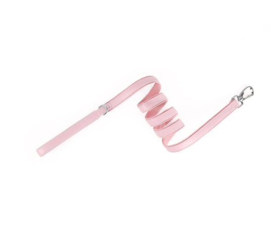 Airtag Pet Tracker Protective Collar