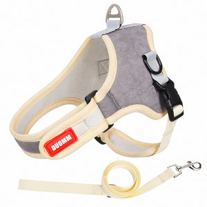 Reflective Suede Leash Pet Harness