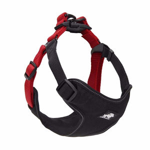 Dog Oxford cloth Walking Harness