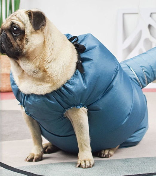 Dog Automatic Drying Bag