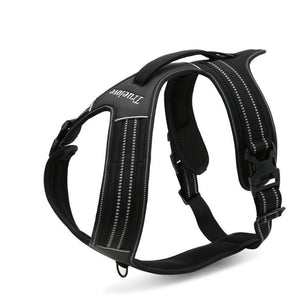 Pet chest strap Harness