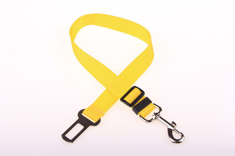 Durable Polyester Dog Leash for Daily Walks & Training