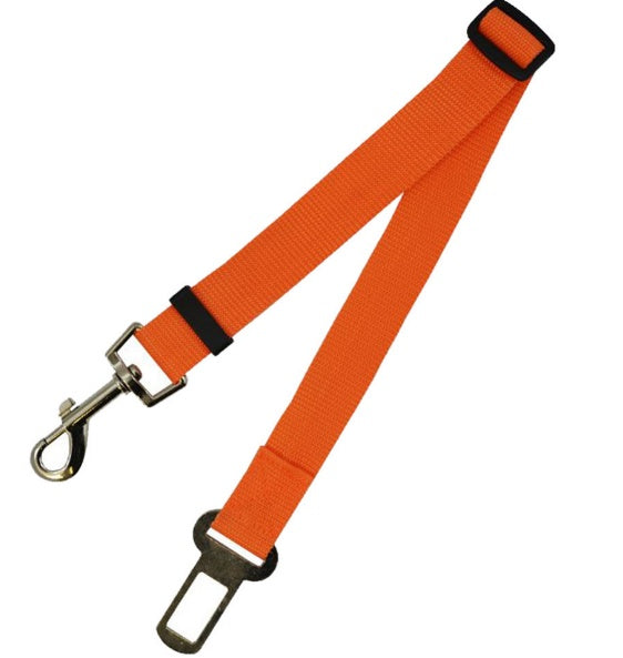 Durable Polyester Dog Leash for Daily Walks & Training
