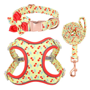 Dog Teddy Corgi Collar Leash