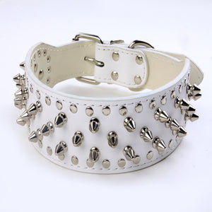 Large Dog rivet Collar