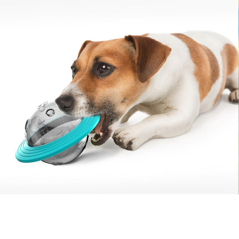 Dog Missing food educational toy