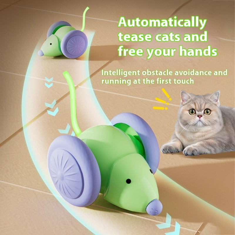 Cat Electric Mouse Car Toy