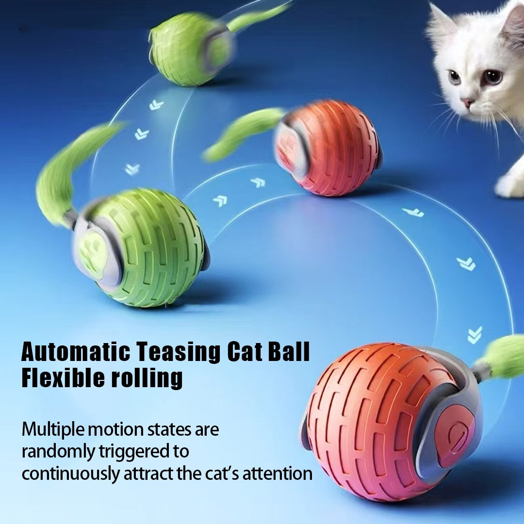 Interactive Cat Toys