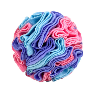 Pet Colorful Ball Sniffing Toy