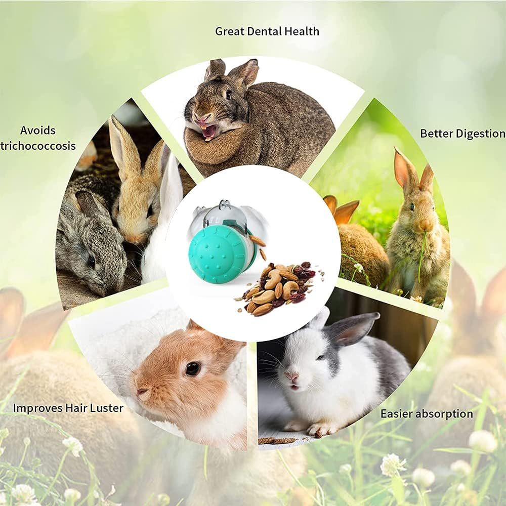 Pet Treat Dispensing Toy