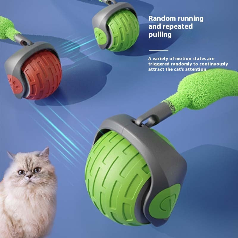 Interactive Cat Toys