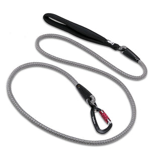 Big Dog Walking Traction Rope
