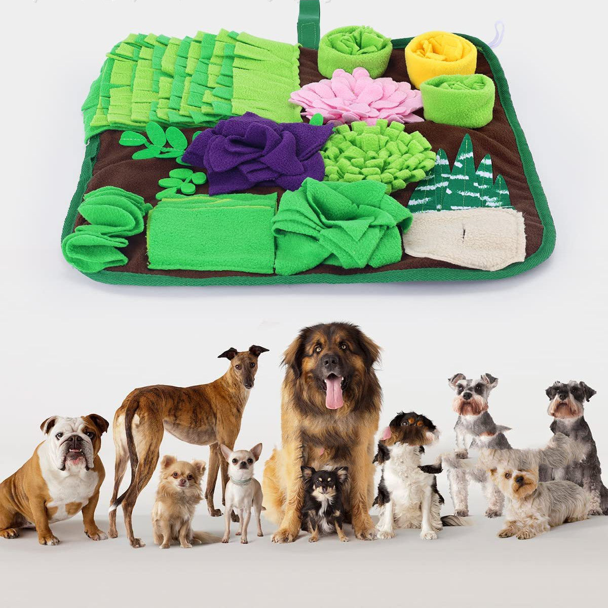 Pet Sniffing Feeding Pad