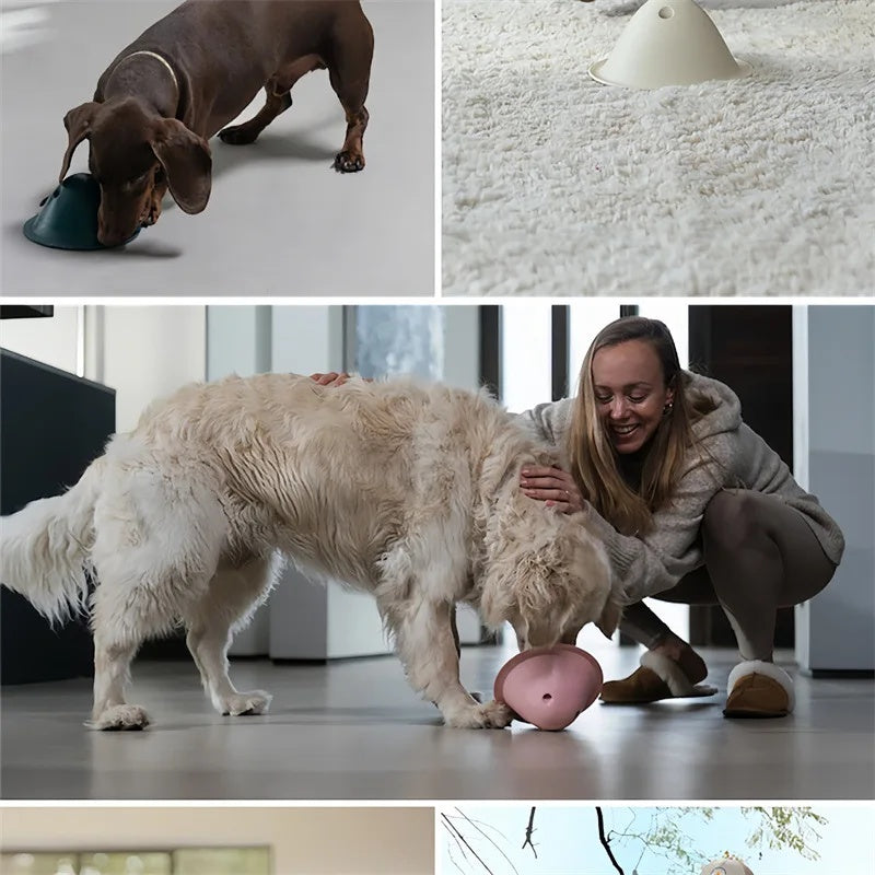 Dog Interactive Chew Toy