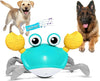 Crawling Crab Dog Toy