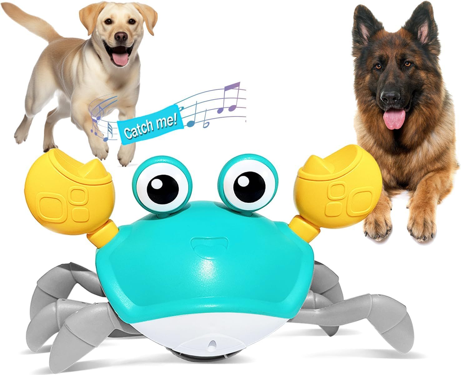 Crawling Crab Dog Toy